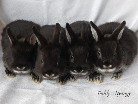 Vrh K27 - VOLNÍ 2 KLUCI K REZERVACÍM !!!